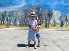 -鄂尔多斯野生动物园