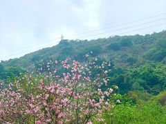-小南山公园