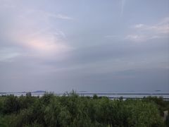-合肥滨湖国家森林公园