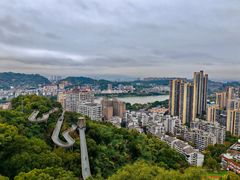 -福道