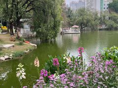 -人民公园(罗湖区)