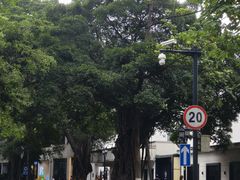 -广州白天鹅宾馆