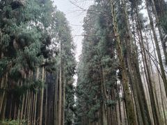 -山王坪喀斯特国家生态公园