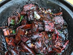 干烧肉骨茶-新记肉骨茶