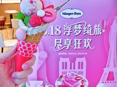 -哈根达斯(国瑞店)