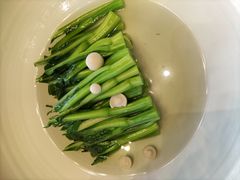 朱元璋头道青菜-临江·阅炉