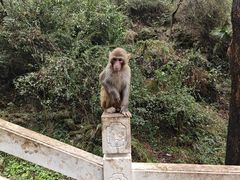 -黔灵山公园-南门售票处