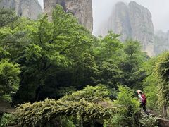 -雁荡山风景名胜区