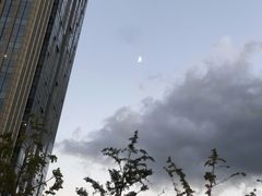 -大唐BINGO主题酒吧互动式KTV(苏宁生活广场店)