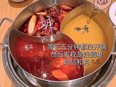 -青瓷火锅料理(西单大悦城店)