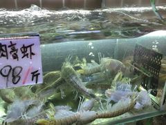 -覃记海鲜美食餐厅