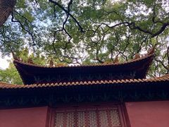 -普陀山风景名胜区-法雨禅寺