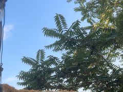 -王歘歘·chuǎ火锅(五道营店)