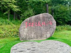 -五营红松林海景区