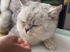 -恒幸动物医院·急重症转诊中心·神经内外科·CT核磁