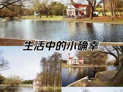 -上海共青森林公园