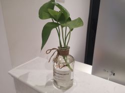 -MIVI半永久纹眉绣眉