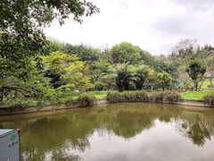 -广州雕塑公园