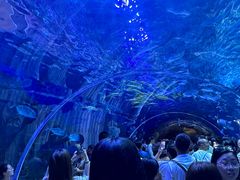 -华夏文旅西安度假区