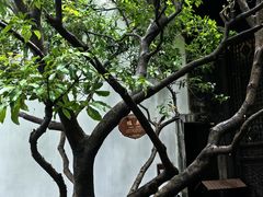-南京市民俗博物馆(甘熙故居)