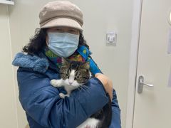 -美联众合动物医院·24h京西诊疗中心