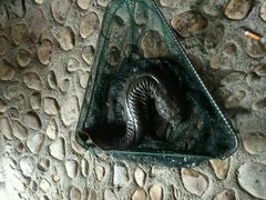 -土家乙号生态农庄·餐厅