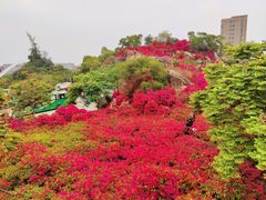 -仙岳公园