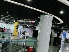 -东方体育中心(地铁站)