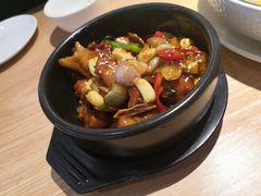 -南枝记