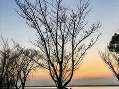 -阳澄湖半岛旅游度假区