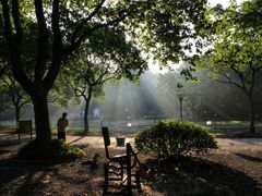 -上海共青森林公园