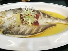 -一麦·龙岛(上海青浦店)