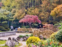-中山公园