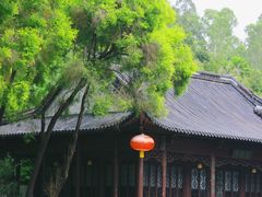 -深圳国际园林花卉博览园