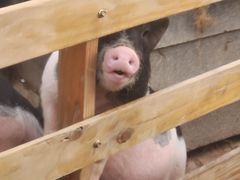 -祥源·阜阳生态乐园