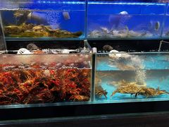 -苏格里岛自助烤肉海鲜火锅(成都金牛万达店)