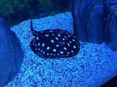 iphone_upload_pic-常州海昌海洋探索馆