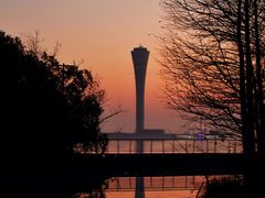 -上海吴淞炮台湾国家湿地公园