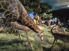 -国家自然博物馆