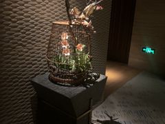 -浅深(北京北四环精品店)