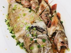 -高佳庄·舟山海鲜(海景旗舰店)