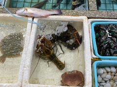 -霞涌市场海鲜摆卖区