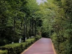 -西安汉城湖景区