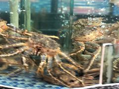 -凯逸轩·匠心粤菜(中城名仕汇店)