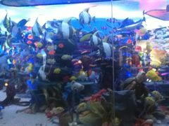 -成都泰迪熊博物馆