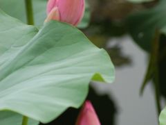 -嘉北郊野公园