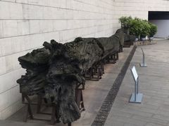 -金沙遗址博物馆