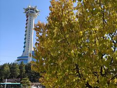 -帽儿山国家森林公园