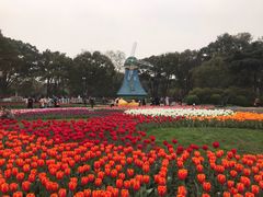 -无锡梅园公园