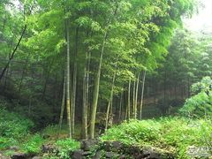 -会稽山峡洞漂流-上青古道